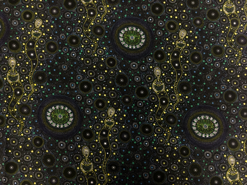 Australian Cotton Print With Aboriginal Motif 0