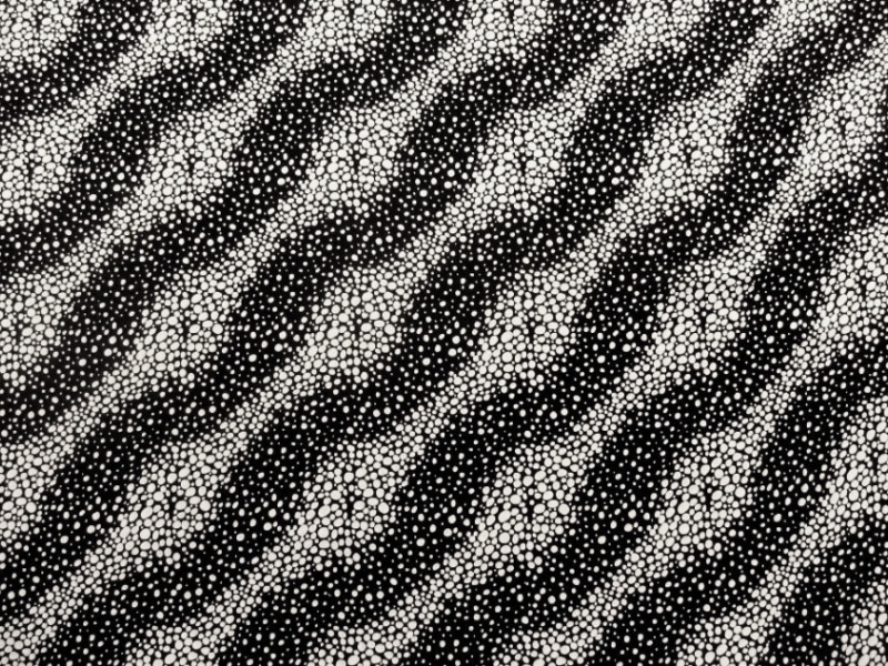 Printed Silk Charmeuse0