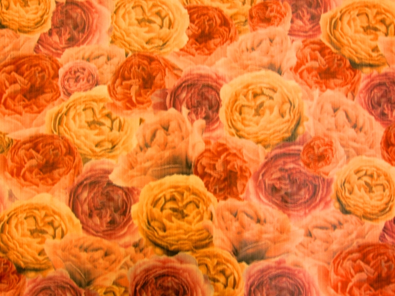  Warp Printed Taffeta0