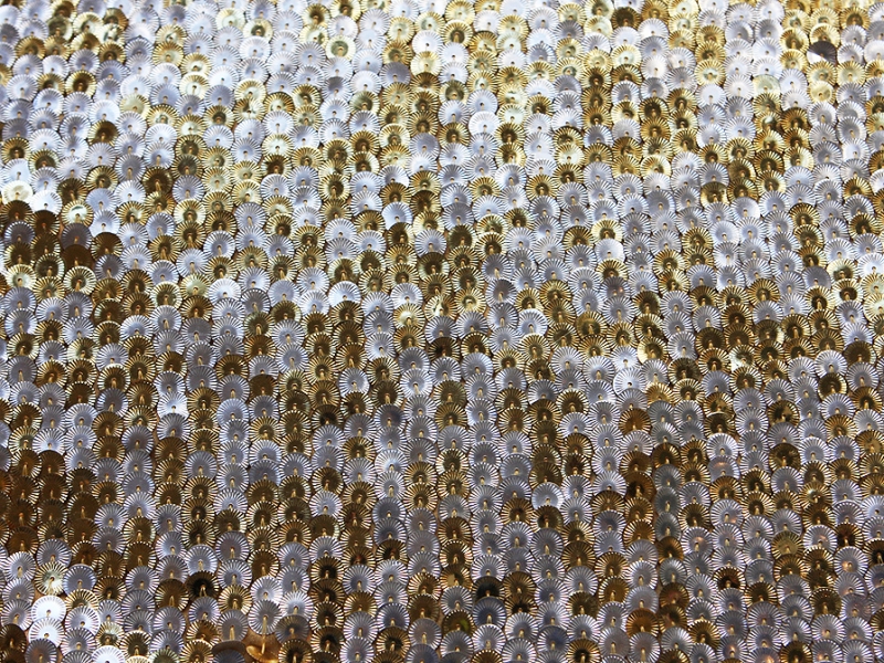 Novelty Paillettes on Silk Chiffon1
