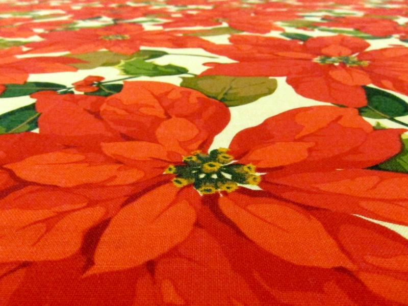 Cotton Broadcloth Print2