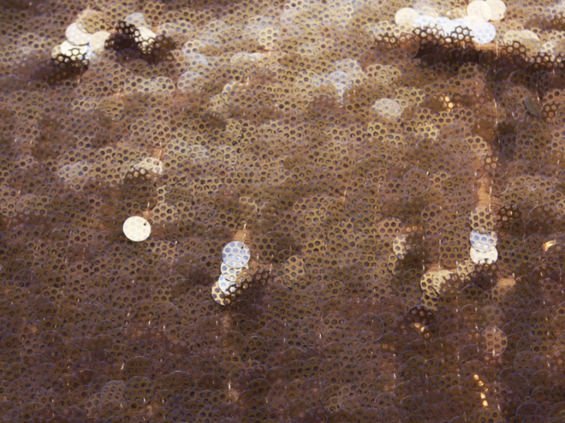 Novelty Paillettes on Silk Chiffon0