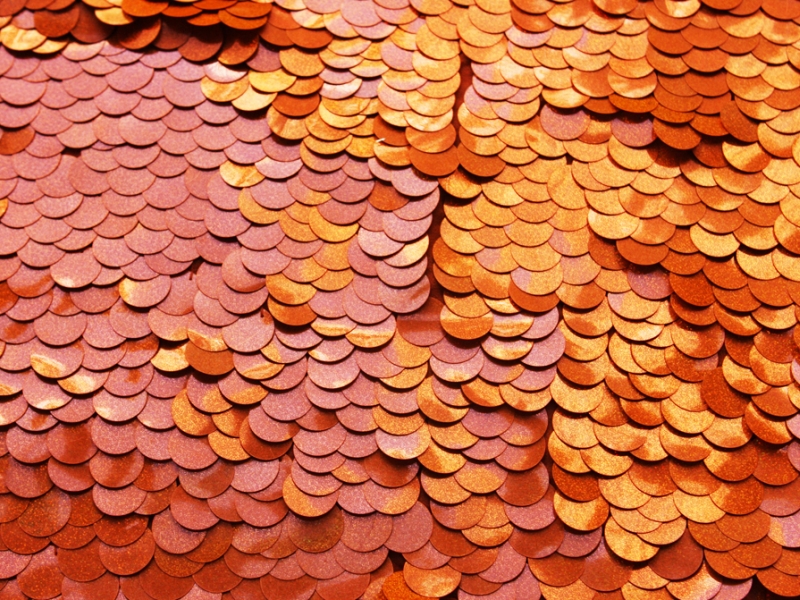 Pailettes on Silk Chiffon0