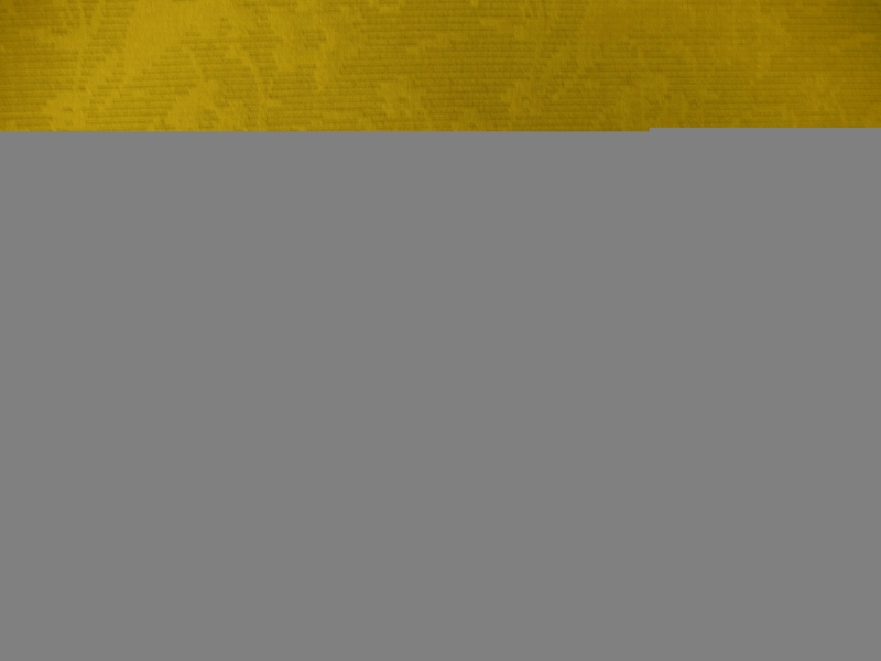 100% Silk Ottoman Brocade0