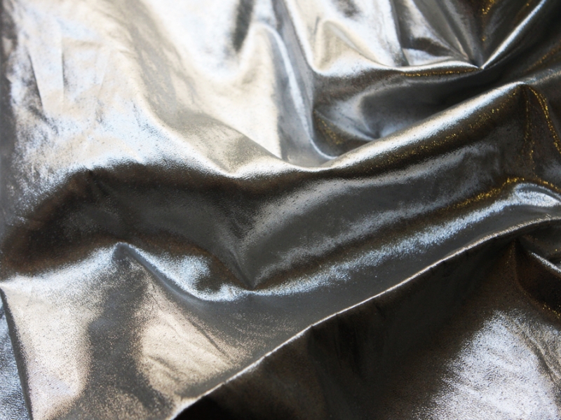 Tissue Lamé in Silver1