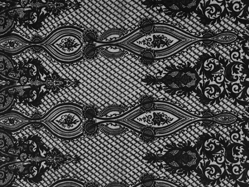 Embroidered Tulle with Victorian Ornamentations in Black0