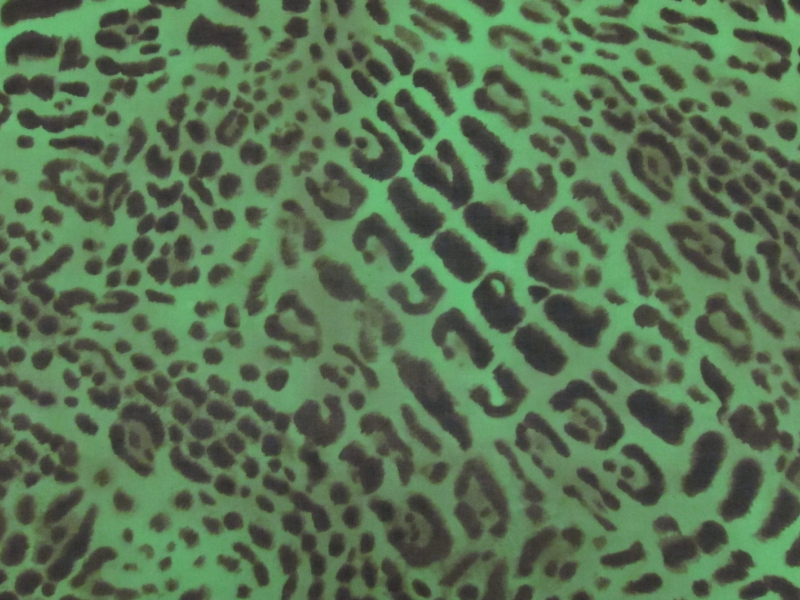 Printed Silk Chiffon0