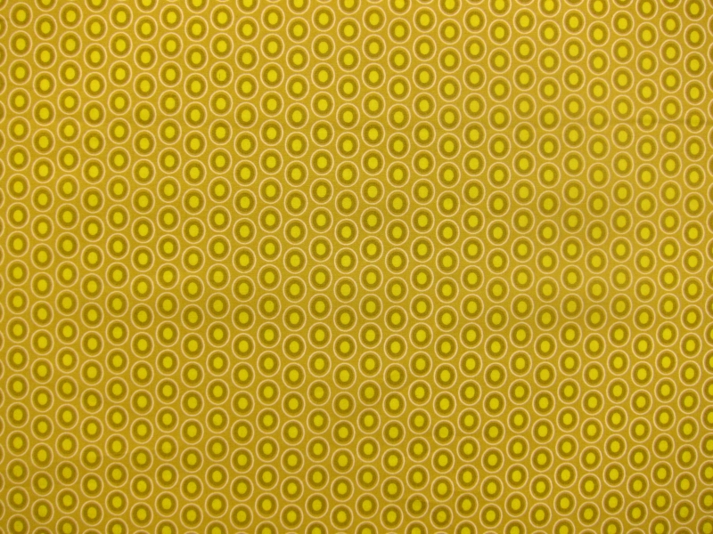 Cotton Broadcloth Print2