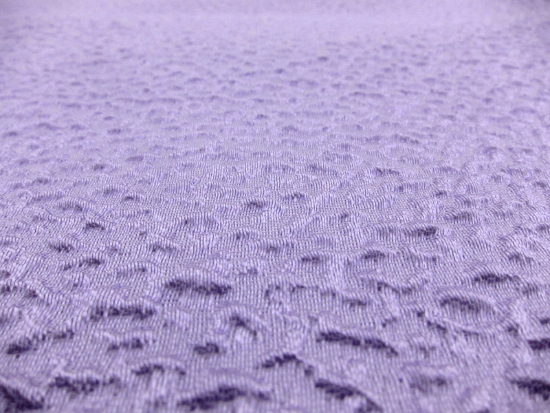 Silk Blend Organza Cloqué0