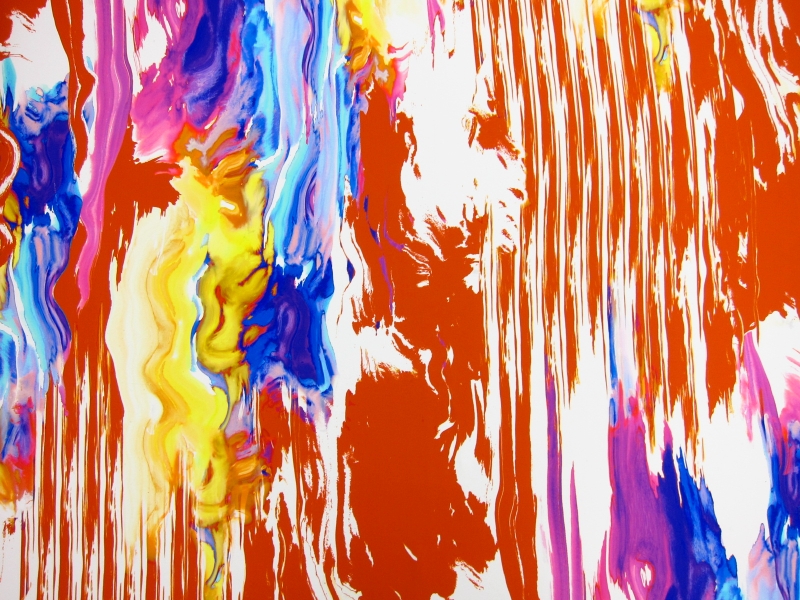 Printed Silk Charmeuse0