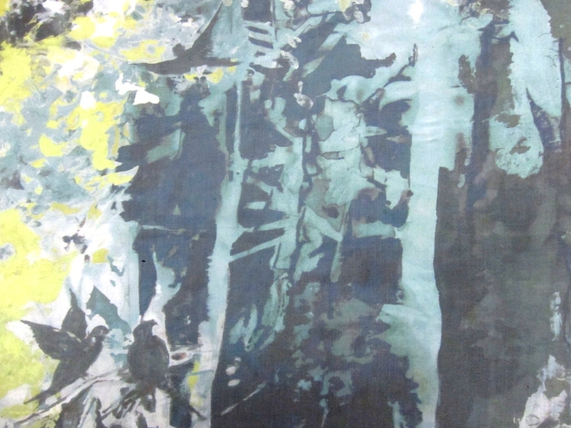 Printed Silk Chiffon0