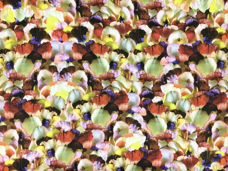 Jakob Schlaepfer Silk Crepe de Chine Print with Photo Realistic Petals0