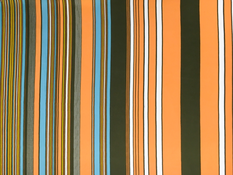 Printed Silk Charmeuse0