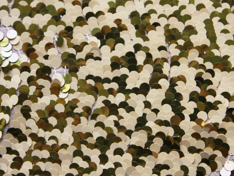 Paillettes on Silk Chiffon0