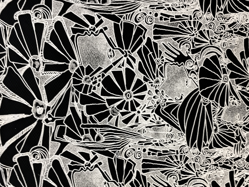 Embroidered Birdcage Tulle0