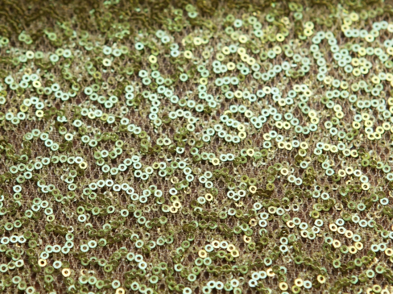 Sequins on Mesh3