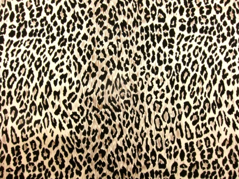 Printed Silk Charmeuse0