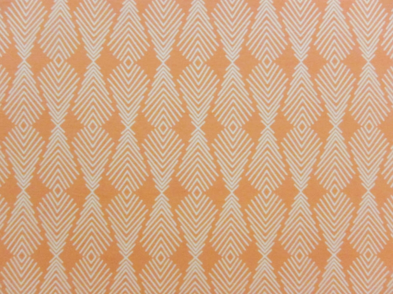 Cotton Lycra Jersey Print0