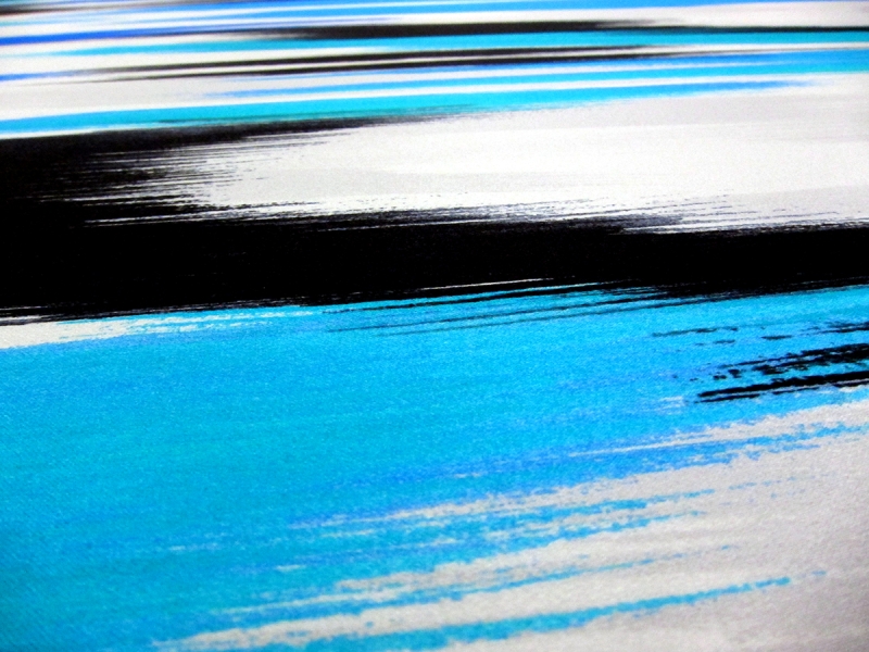 Printed Silk Charmeuse1