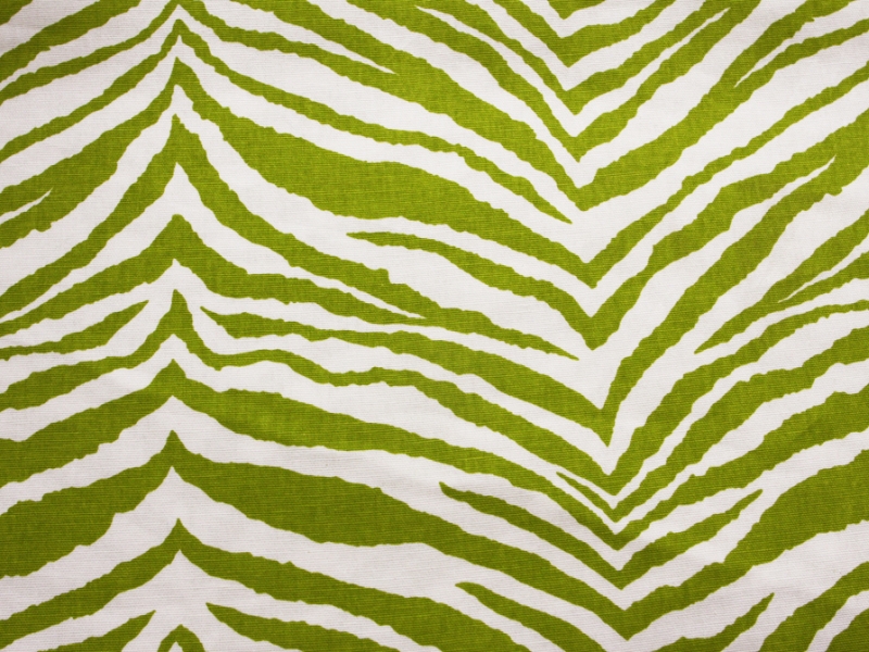 Printed Cotton Canvas0