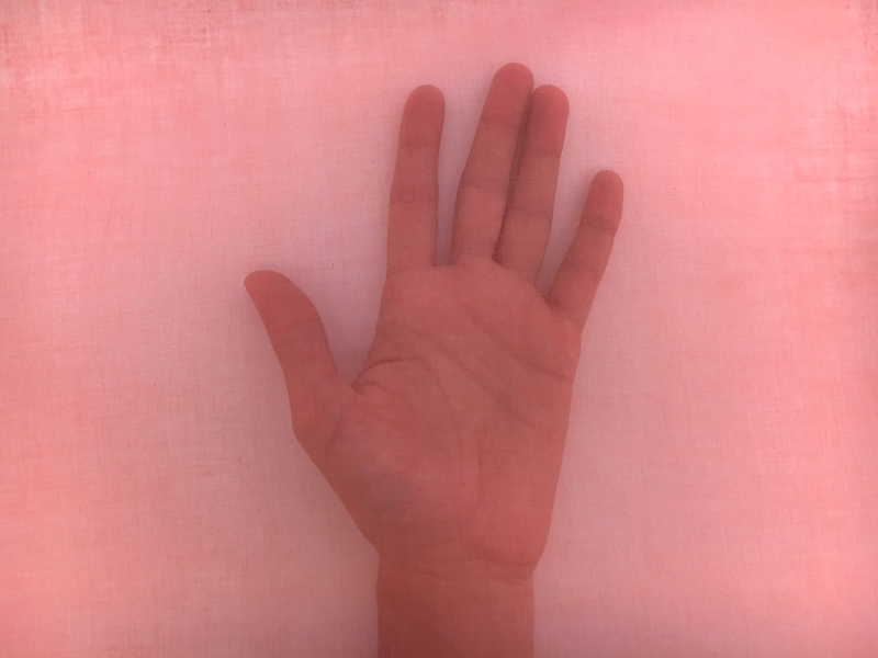 Swiss Cotton Organdy in Orange1