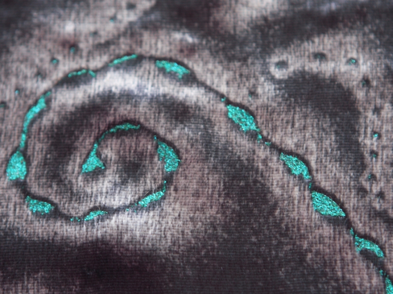 Sparkle Painted Panné Velvet4