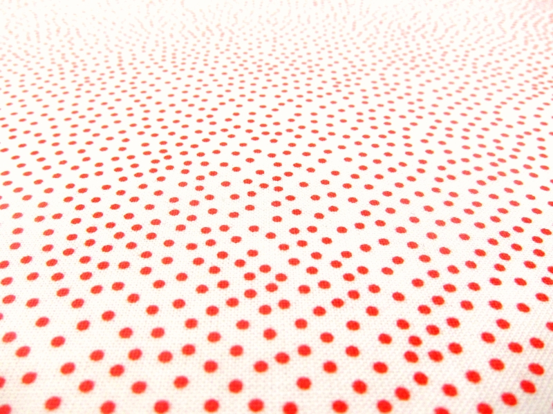 Cotton Broadcloth Print2