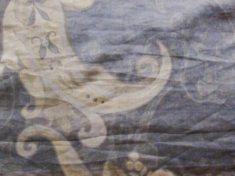 Fil Coupé Silk Organza0