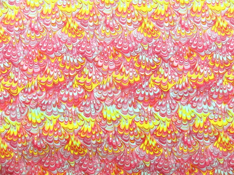 Printed Silk Charmeuse0