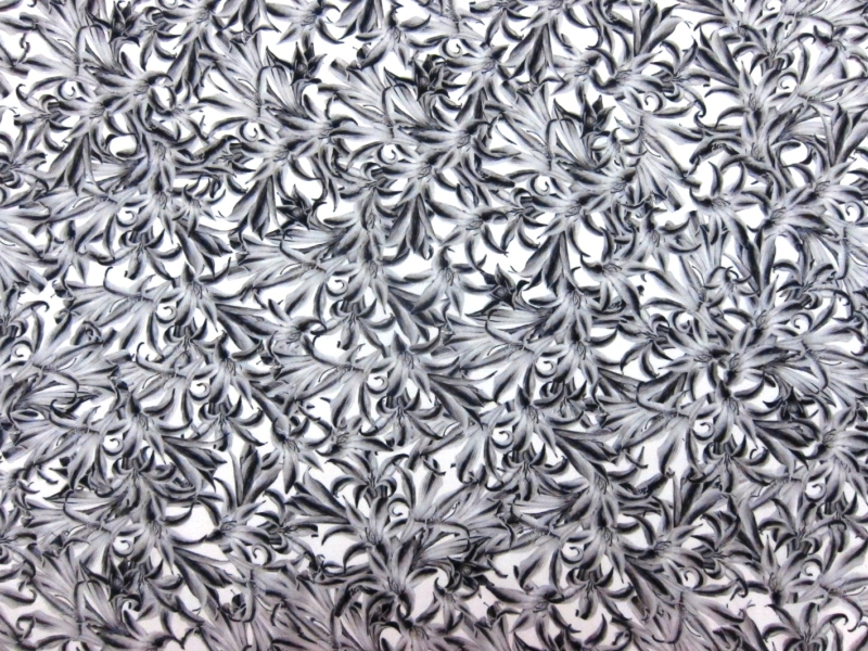 Printed Silk Charmeuse0