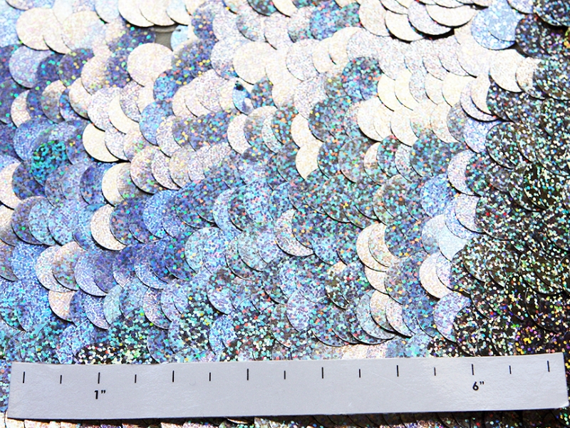 Paillettes on Silk Chiffon2