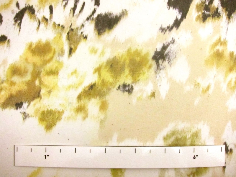 Printed Silk Organza1