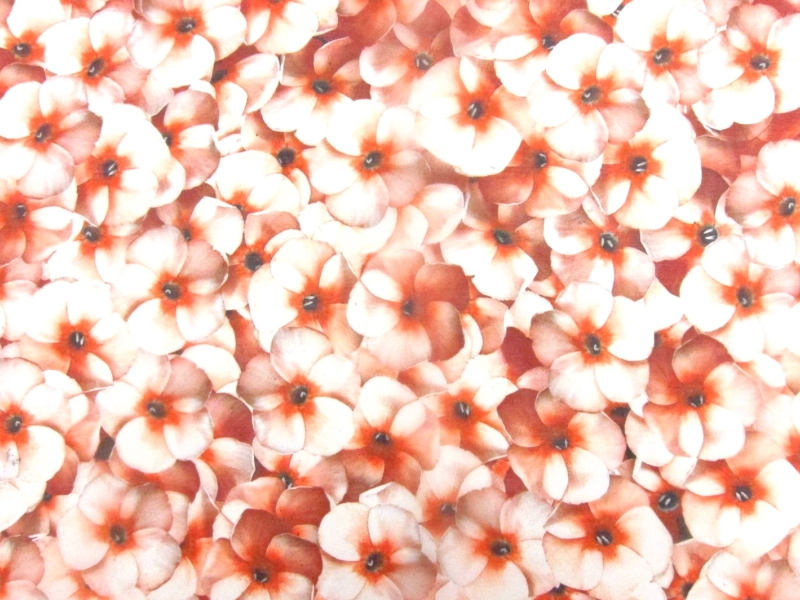 Printed Silk Organza0