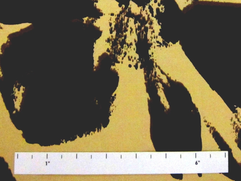 Printed Silk Taffeta1