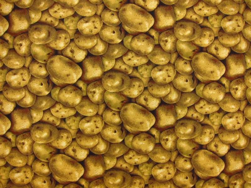 Cotton Broadcloth Print0