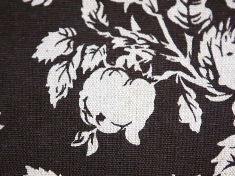 Printed Cotton Rayon Canvas2