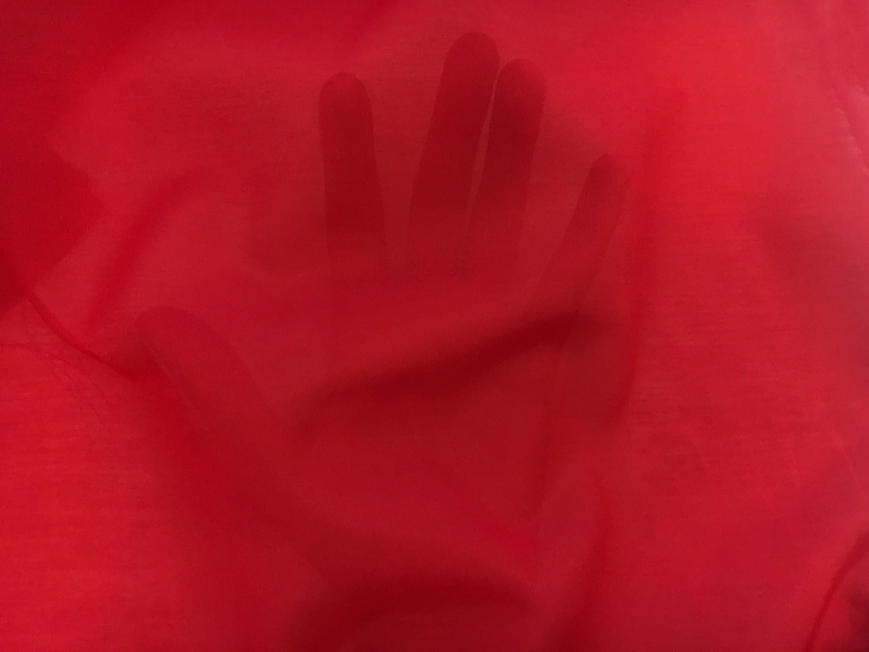 Silk Cotton Voile in Ruby2