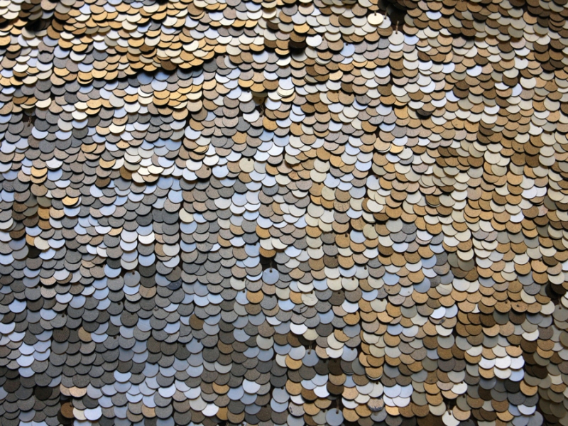 Novelty Paillettes on Silk Chiffon1