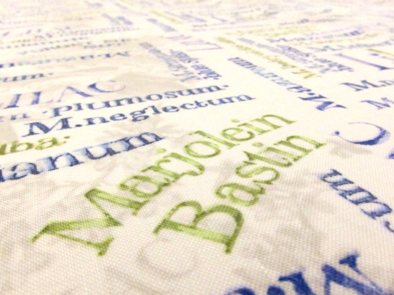 Cotton Broadcloth Print2