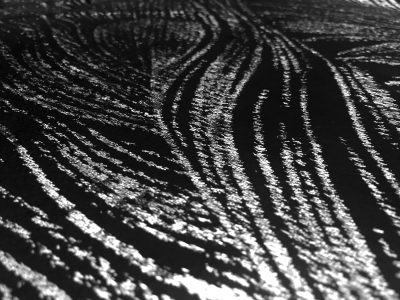 Silk Lurex Panne Velvet with Peacock Feather Motif in Black Silver2