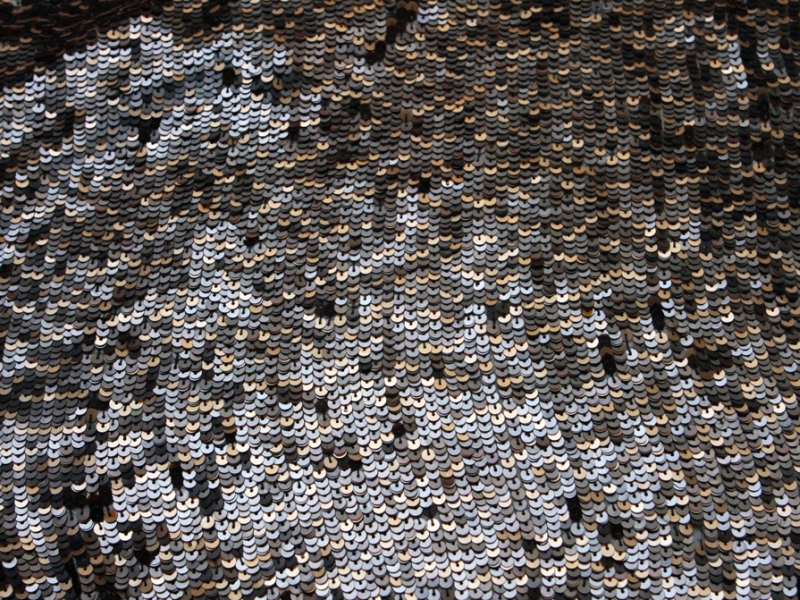 Sequins on Silk Chiffon1