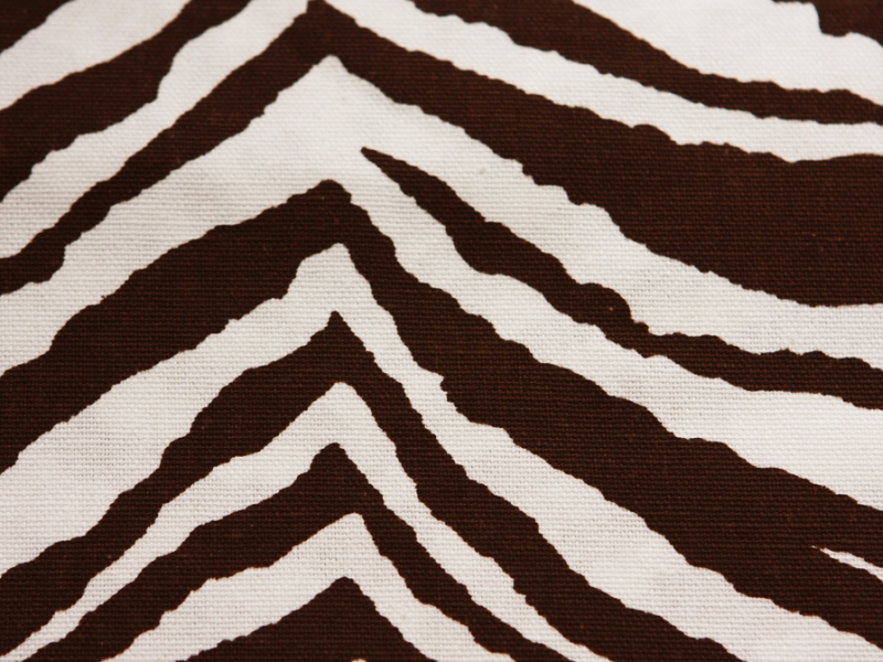 Printed Cotton Canvas2