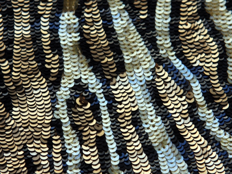 Sequins on Silk Chiffon0