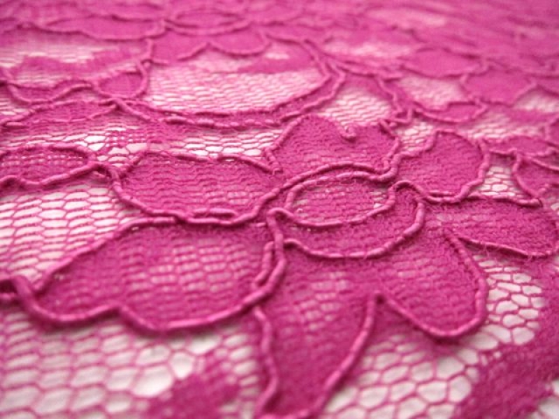 Cotton Nylon Alençon Lace2