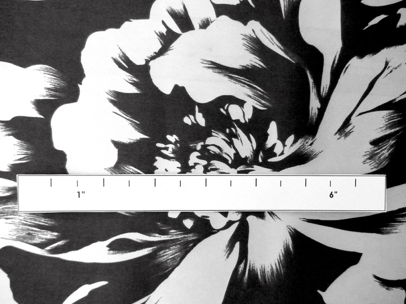 Printed Silk Charmeuse2