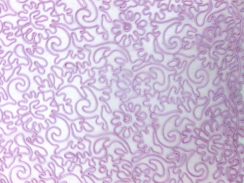 Soutaché Embroidered Tulle0