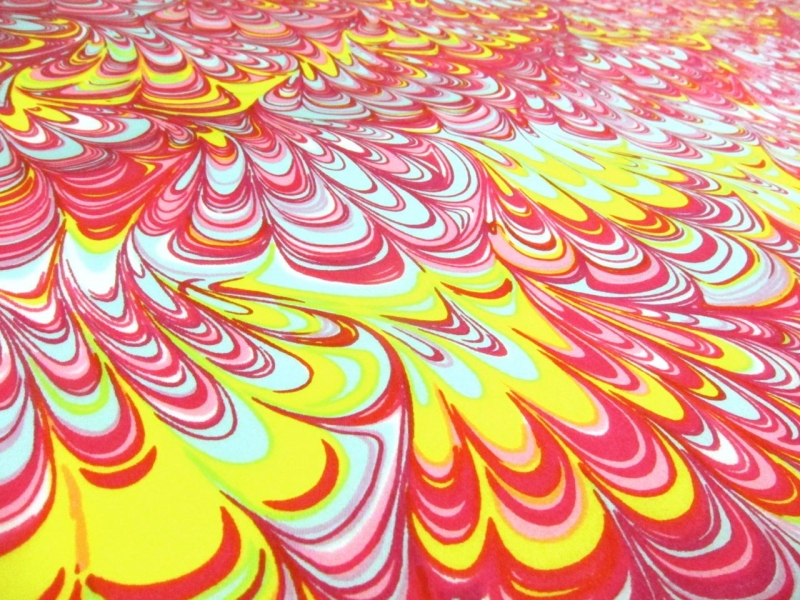 Printed Silk Charmeuse2