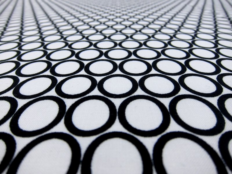 Cotton Broadcloth Print2