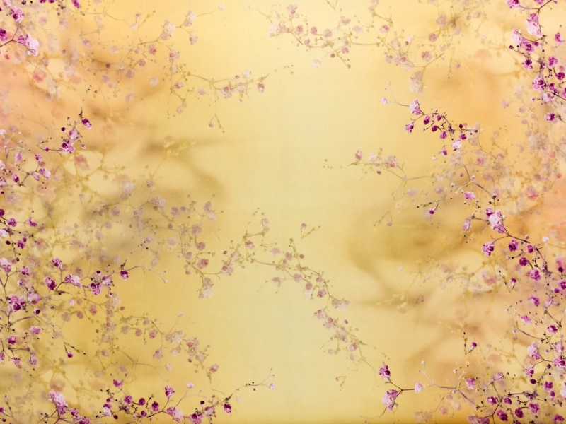 Printed Silk Satin Organza with Cherry Blossoms0