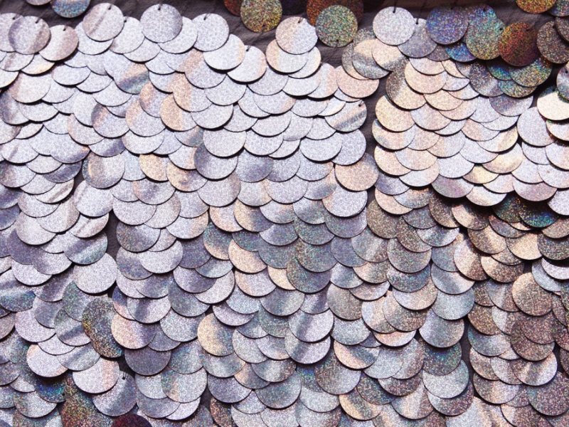 Paillettes on Silk Chiffon1